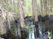 Bitumen Spill Canada
